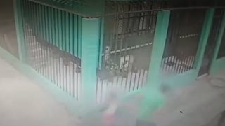 Los Olivos: cámaras captan intento de rapto de niña de 5 años a plena luz del día