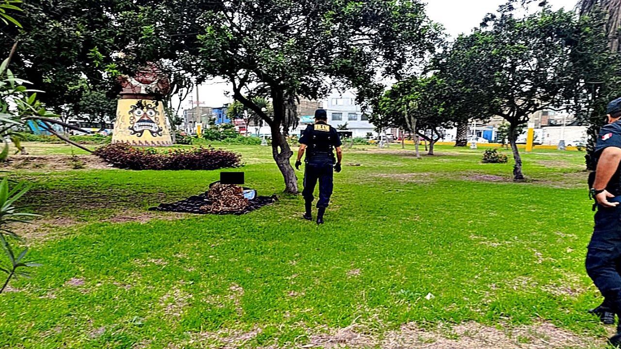 Instalaron frazadas para descansar en las áreas verdes.