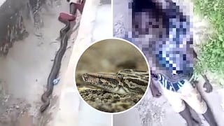 Hombre muere estrangulado por serpiente que tenía como mascota 