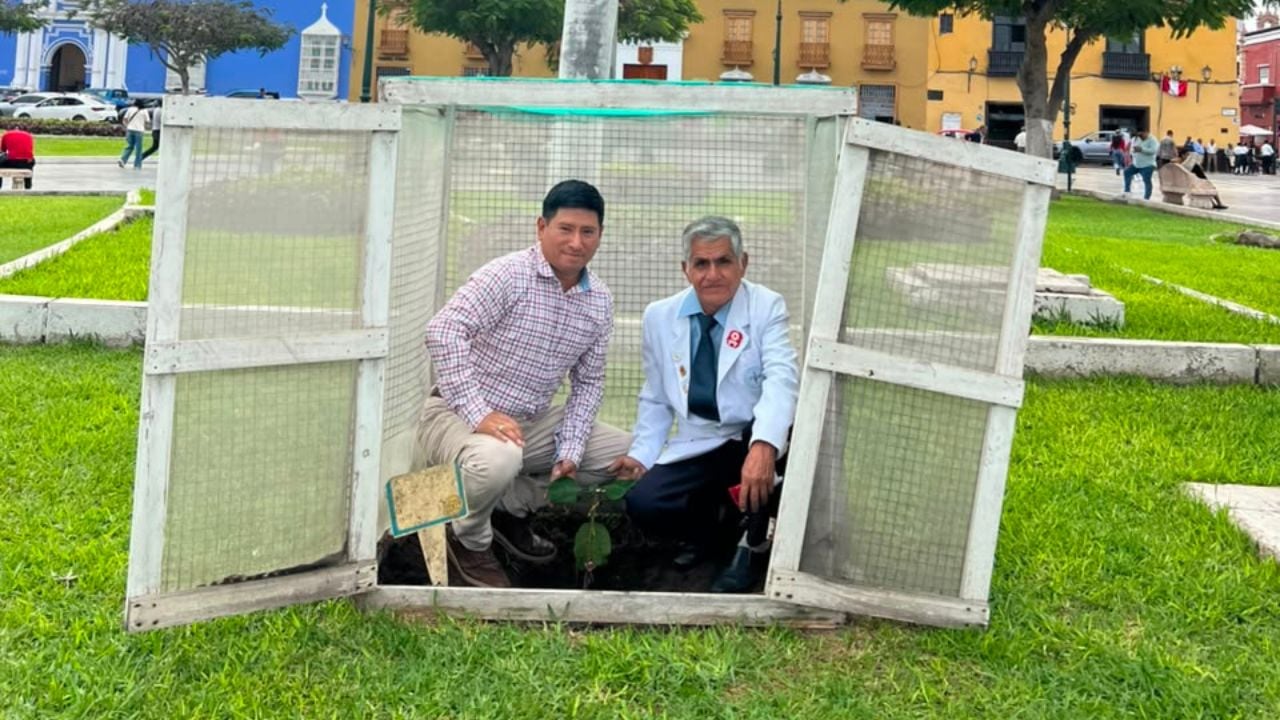 Se ubican en la Plaza Mayor de Trujillo.