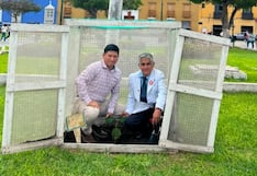 Trujillo: Siembran tres nuevas especies del árbol de la quina