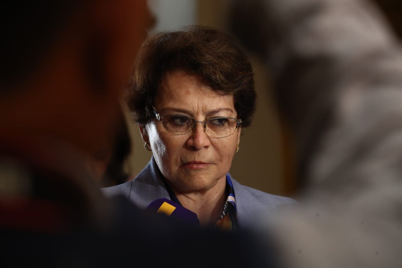 La congresista Gladys Echaíz presentó dos iniciativas, pero ambas fueron publicadas en El Peruano. (Foto: jorge.cerdan/@photo.gec)