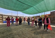 Arequipa: Más de 300 alumnos estudian hacinados en colegio de Cerro Colorado