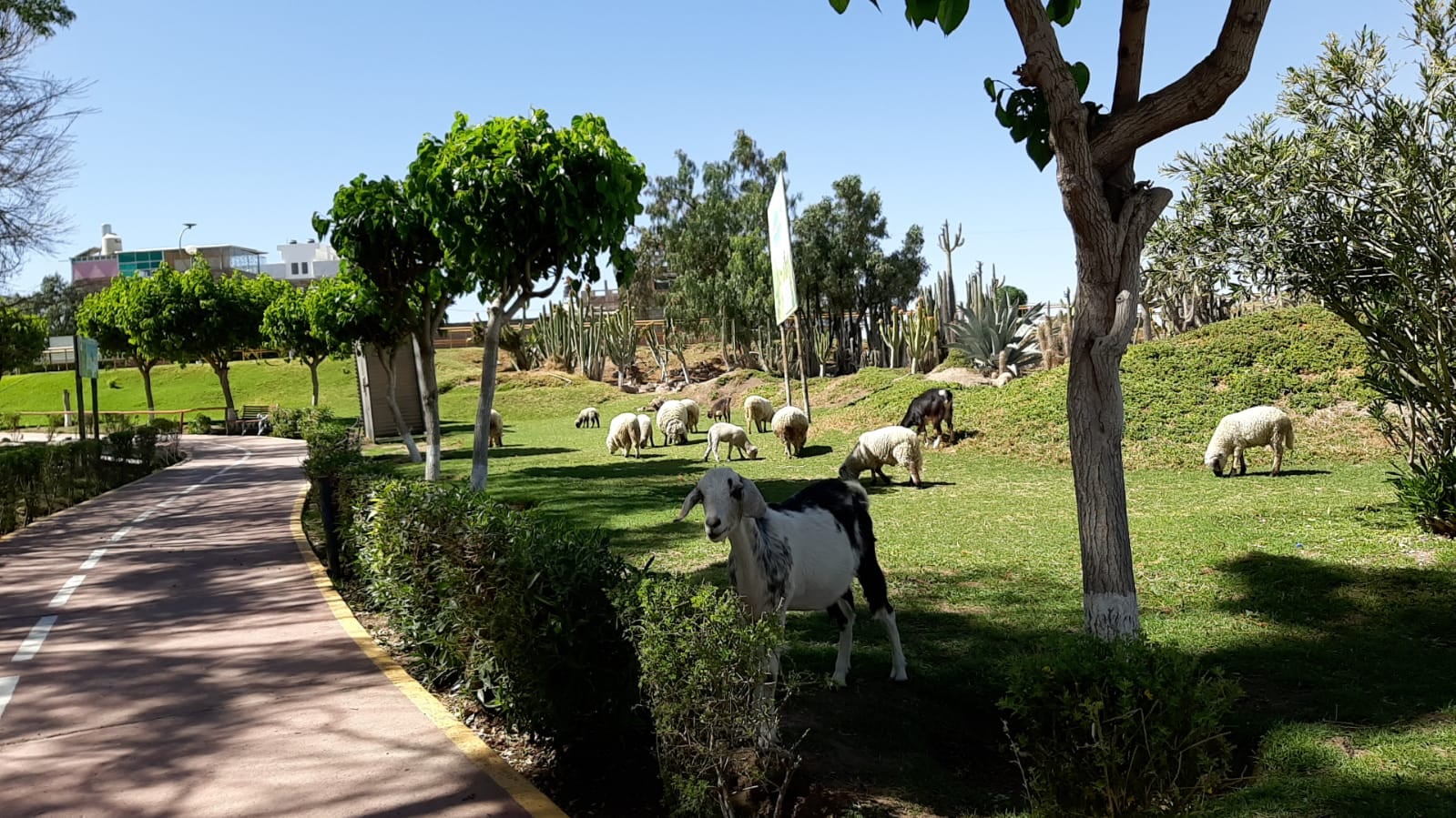 Un lugar tranquilo para pasar un buen día en familia. (Foto: Graciela Fernández)