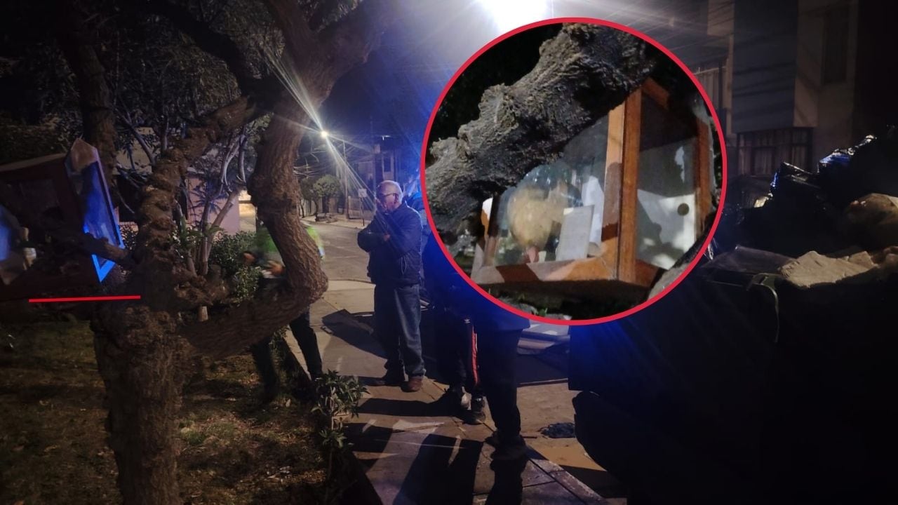 Hallan cráneo humano dentro de una urna de cristal en Cerro Colorado