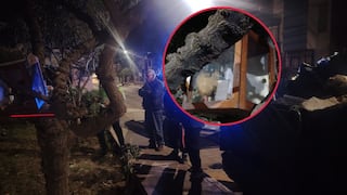 Hallan cráneo humano dentro de una urna de cristal en Cerro Colorado (VIDEO)