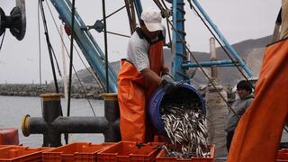 Pesca crece 82.18% en abril