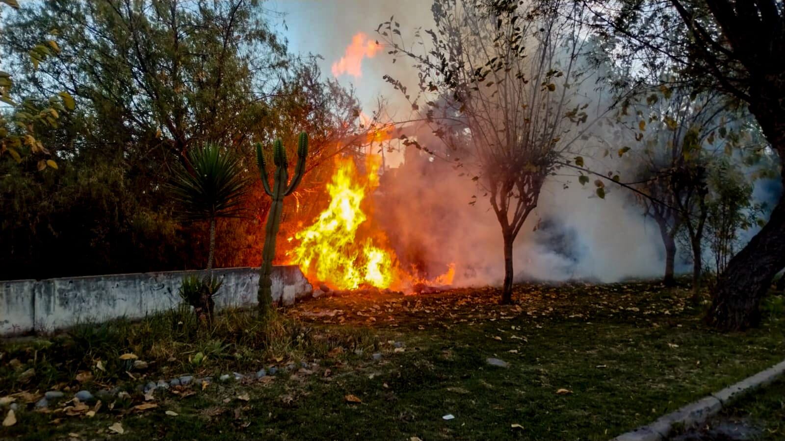 Área verde del Cercado afectada por incendio. (Foto: GEC)
