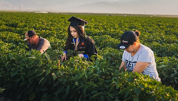 Joven se toma fotos de graduación en el campo donde trabajan sus padres. (Foto: @branden.shoots)