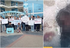 Exigen justicia para perrita “Negrita”, que ingresó a pollería y la mataron con cuchillo