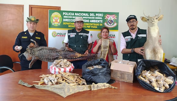 En operativo entre Serfor, Policía Ecológica y Municipalidad de Piura realizaron operativo en Complejo de Mercados de Piura