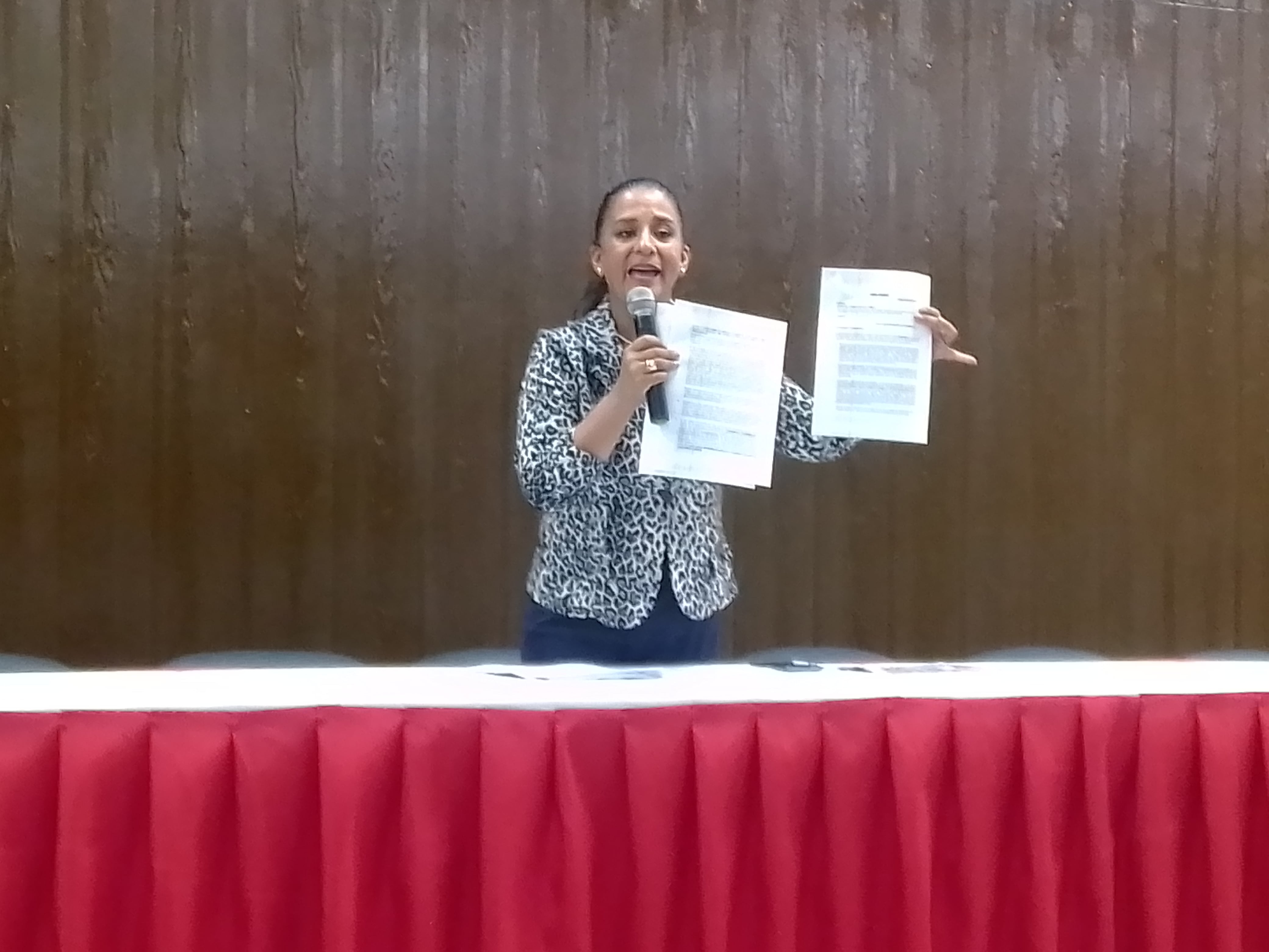 La gobernadora regional provisional de Tacna Liliana Velazco Cornejo brindó conferencia de prensa. (Foto: GEC)