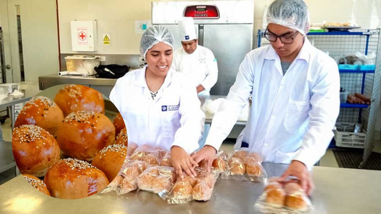 La papa se obtuvo de la comunidad de Occopata, Cusco, y la investigación se llevó a cabo en los laboratorios de la Facultad de Ingeniería y de la carrera de Gastronomía de la USIL