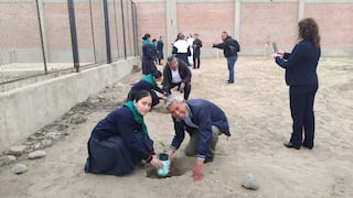 La Libertad: Siembran 150 árboles en el Barrio 6D de Alto Trujillo
