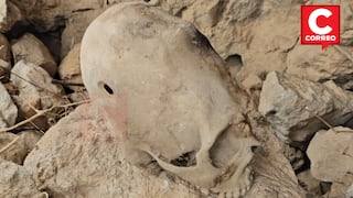 Junín: Hallan cráneo alargado en Cochangará