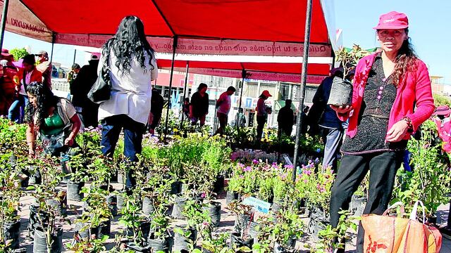 2 mil plantones fueron vendidos en dos días en Miraflores
