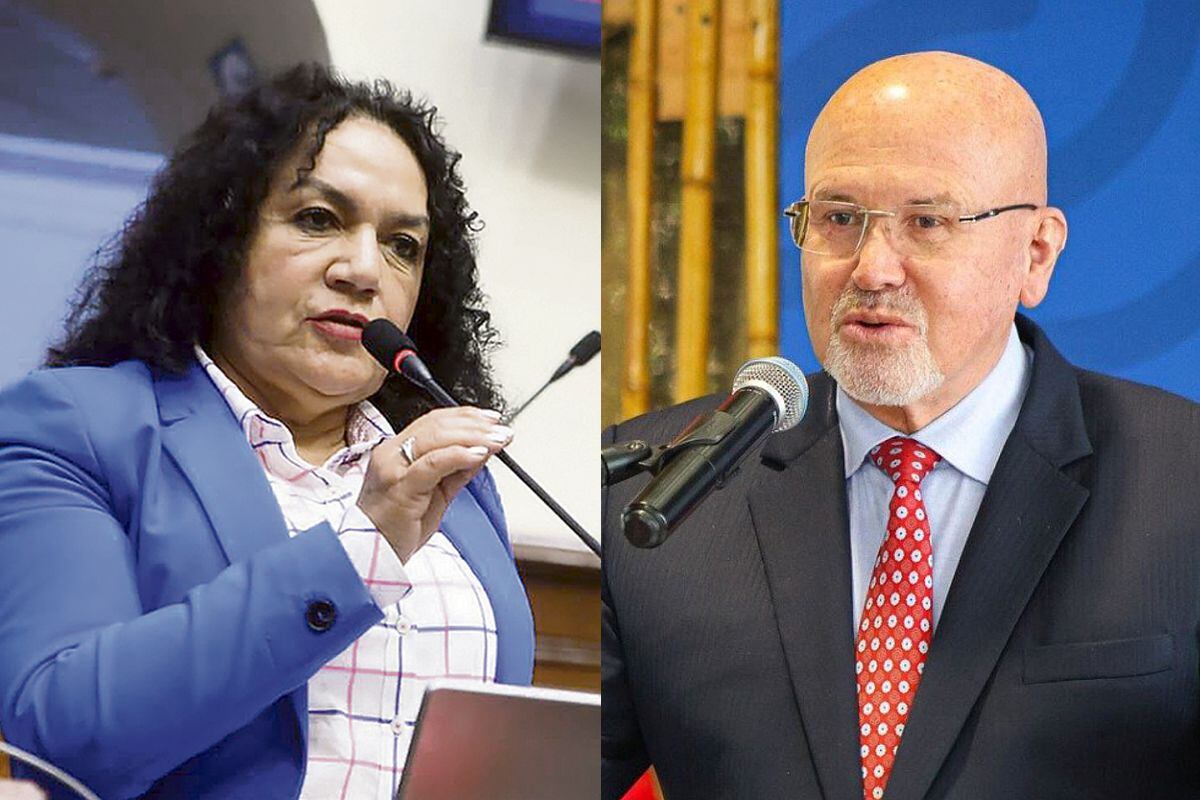 Congresista María Acuña es emplazada por el alcalde Carlos Bruce por la presunta invasión de un área pública en Surco. (Foto: Andina)