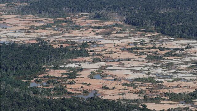 Así luce la amazonía peruana deforestada por la minería ilegal (FOTOS)