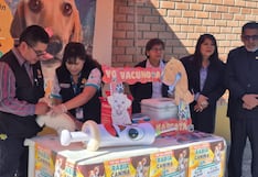 Campaña en Arequipa: Planean vacunar a 300 mil canes contra la rabia (VIDEO)