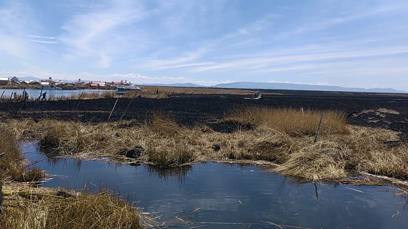 La situación se ha tornado incontrolable en algunos casos. Foto/Yashmani Pocohuanca.