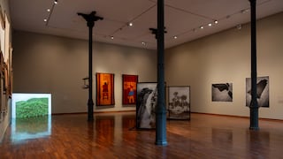 MALI presenta obras donadas por Patricia Phelps de Cisneros hasta diciembre