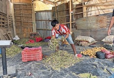 Paro agrario dejó escasez y pérdidas económicas en Piura