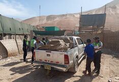 Arequipa: Decomisan 7 mil 600 cartuchos destinados a minería ilegal en Camaná