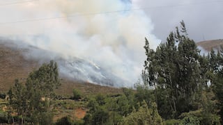 Tarma: Quinto incendio forestal se desata en lo que va del mes