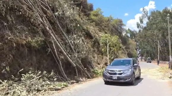 CORREO | Árboles caen en la ruta a Sacsayhuamán y bloquean paso a locales y turistas