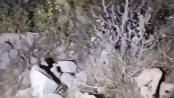 Un muerto y siete heridos deja caida de una camioneta en Cotahuasi