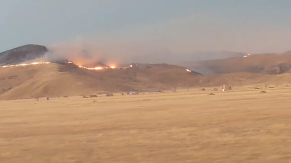 Puno: Puno: Incendios forestales fuera de control devastan varios distritos de la región