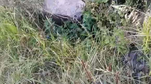 CORREO | Cusco: Recuperan huaca ceremonial vandalizada en Sacsayhuamán