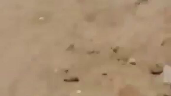 Extorsionadores queman taxi en Trujillo