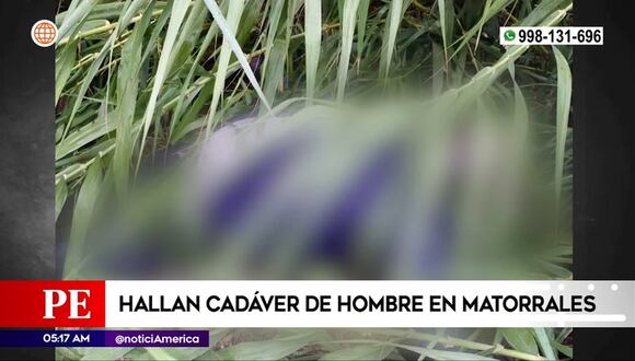 Hallan cadáver en matorral