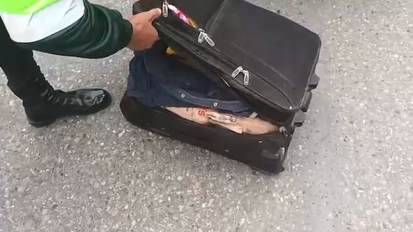 Incautan 40 kilos de marihuana en la sierra de La Libertad