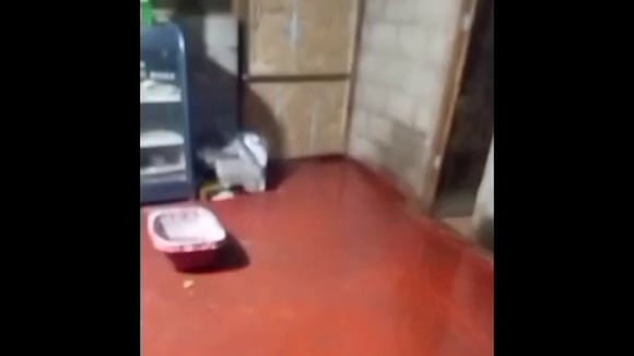 CORREO | Lluvias causa daños en Caravelí