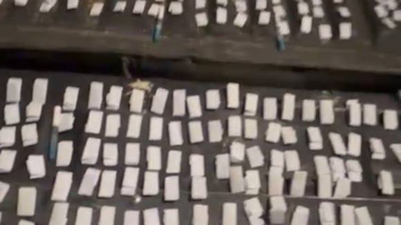 CORREO | Detienen a 4 personas con 586 pacos de PBC en Camaná