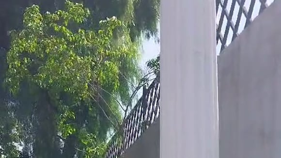 Retiran a extranjeros de jardín de Trujillo