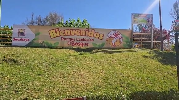 CORREO | Conozca las novedades en plantas y animales en el parque El Bosque de Arequipa