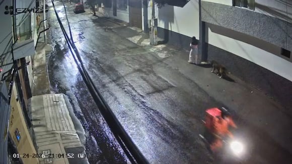 CORREO | Perro sufre descarga eléctrica en Paucarpata