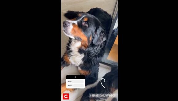 CORREO | Rosángela Espinoza