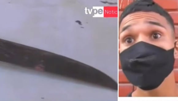 Ladrón sin verguenza