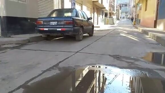 Comadreja es avistada perdida en las calles de Cusco