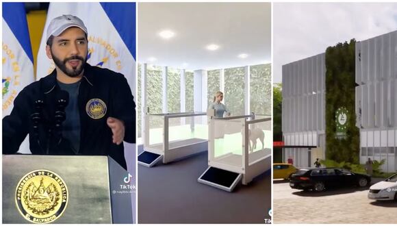 CORREO - Así lucirá hospital veterinario creado con ganancias de bitcoin