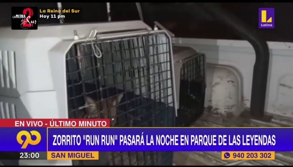 Zorrito Run Run pasará la noche en el Parque de las leyendas