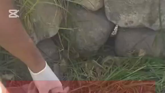 Encuentras las armas robadas a la Policía en Arequipa