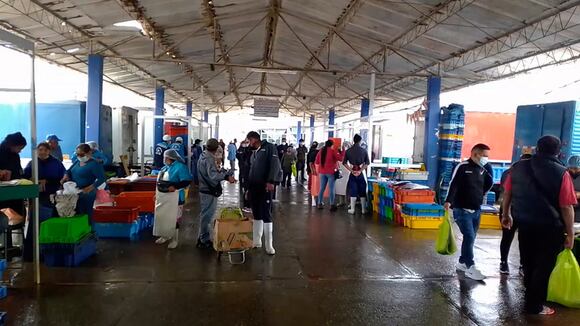 Correo | Operativo preventivo en sección de hidrobiológicos en Tacna