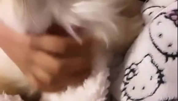 CORREO | Melissa Paredes