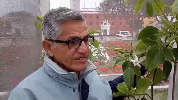 Árbol de la Quina florece en Plaza de Armas de Trujillo