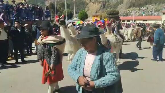 CORREO | Vistoso paseo de llamas cargueras en Huancavelica